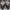 VANS Casual Sneakers Wanita white black photo 4