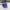 Vintage Streetwear Hat Pria Purple