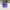 Vintage Streetwear Hat Pria purple photo 3