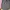 Columbia Sportswear Casual Parka Wanita pink blue photo 3