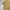 Vintage Y2K Casual shirt Pria yellow photo 5