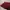 Longchamp LGP Neo Red Xs Sling Bag photo 6