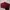 Longchamp LGP Neo Red Xs Sling Bag photo 4