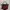 Longchamp LGP Neo Red Xs Sling Bag photo 1
