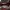 Longchamp LGP Neo Red Xs Sling Bag photo 7