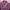 Blouse Wanita purple photo 2