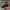 BALENCIAGA TRIPLE S BLACK RED , BALENCIAGA TRIPLE S BLACK  , photo 1