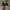 BALENCIAGA TRIPLE S BLACK RED , BALENCIAGA TRIPLE S BLACK  , photo 4