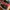 Puma RS Play Black Red
Size 41 photo 1