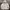 HOODIE CHAMPION SCRIPT photo 1