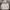 HOODIE CHAMPION SCRIPT