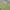 Stradivarius Lime Green Blouses photo 6