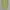 Stradivarius Lime Green Blouses photo 1