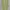 Stradivarius Lime Green Blouses
