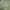 Stradivarius Lime Green Blouses photo 7