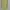 Stradivarius Lime Green Blouses photo 3