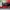 Jordan 1 Travis High Reverse  photo 6