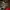 Jordan 1 Travis High Reverse  photo 4