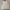 Casual Crop top Wanita white photo 5