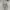 Casual Swimwear Wanita white photo 3
