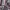 Pakaian anak perempuan girl dancer Ready Set Win dengan meta photo 4