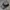 Vondutch Eric Bostrom Hat Charcoal Black photo 2