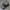 Vondutch Eric Bostrom Hat Charcoal Black