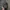 Vondutch Eric Bostrom Hat Charcoal Black photo 1