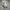 Nike Court Vision Low Triple White photo 2