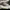 Nike Court Vision Low Triple White photo 8