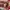 Vans Authentic44 Dx Anaheim Red Checkerboard photo 5