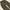 Cargo Ballon Pants photo 6