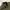Cargo Ballon Pants photo 5