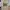 Billie Eilish T-Shirts