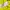 Jersey Borussia Dortmund 2012-2023 Original photo 6