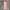 Dress Sleeveless Midi Dusty Pink Preloved photo 1