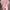 Dress Sleeveless Midi Dusty Pink Preloved photo 4