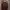 Cardigan brown photo 1