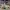 BALENCIAGA TRIPLE S WHITE BLACK RED , BALENCIAGA TRIPLE S WH photo 3