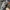 BALENCIAGA TRIPLE S WHITE BLACK RED , BALENCIAGA TRIPLE S WH photo 6
