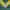 NFL JERSEY GREENBAY PACKERS JEREMY MATTHEWS photo 6