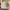 H&M Luxury Casual Sweatshirt Pria Khaki