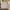 H&M Luxury Casual Sweatshirt Pria khaki photo 1