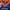 NFL JERSEY VINTAGE DENVER BRONCOS photo 5