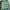The North Face Sportswear Short Pria green navy photo 3