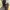 Arcteryx Sylan Pro Trail Running Shoes photo 3
