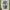 Vintage FUBU Jeans Baggy Pants Y2K photo 1