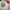 Vintage Y2K Crop top Wanita white photo 3