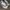 Sepatu Anak FILA PL photo 2