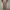midi dress in beige/cream photo 1